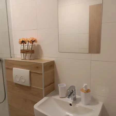 Benic With A Heated Pool Daire Zadar