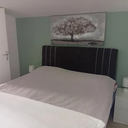 Benic With A Heated Pool Zadar